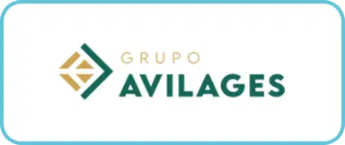 Grupo Avilages