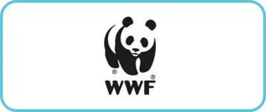 WWF WWF